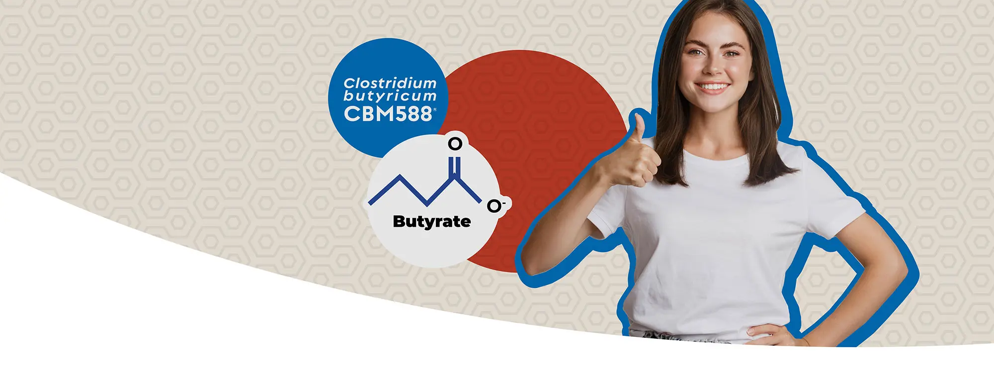 Clostridium butyricum CBM588®